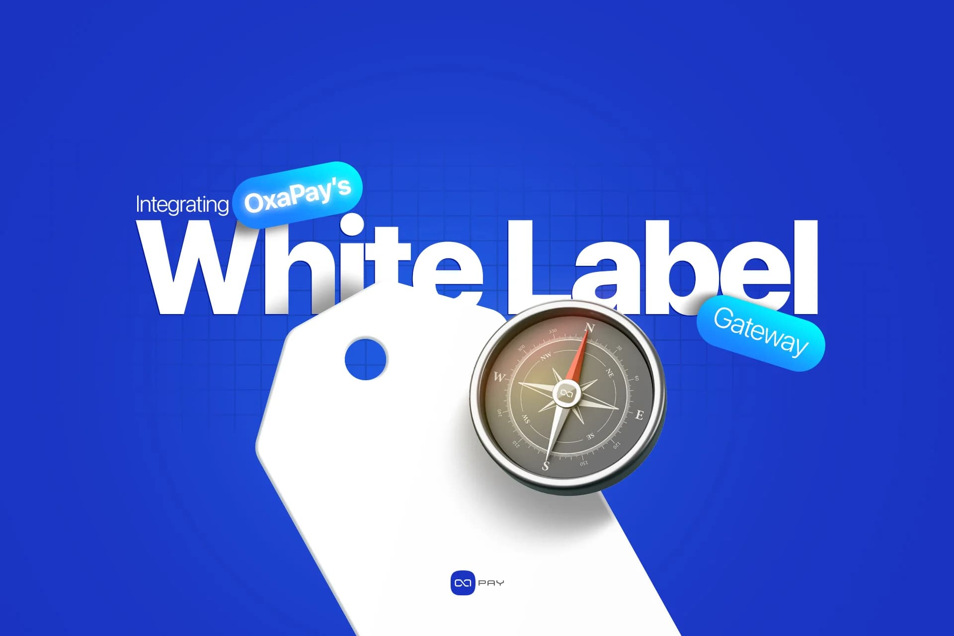 How to Integrate a White Label Crypto Payment Gateway with OxaPay article image