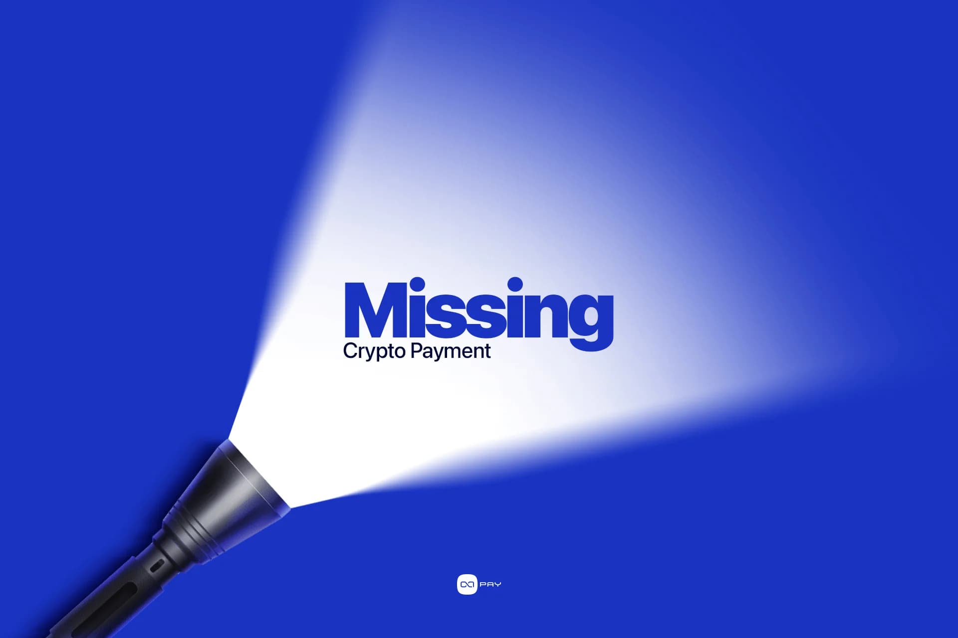 How to Investigate a Missing Crypto Payment article image