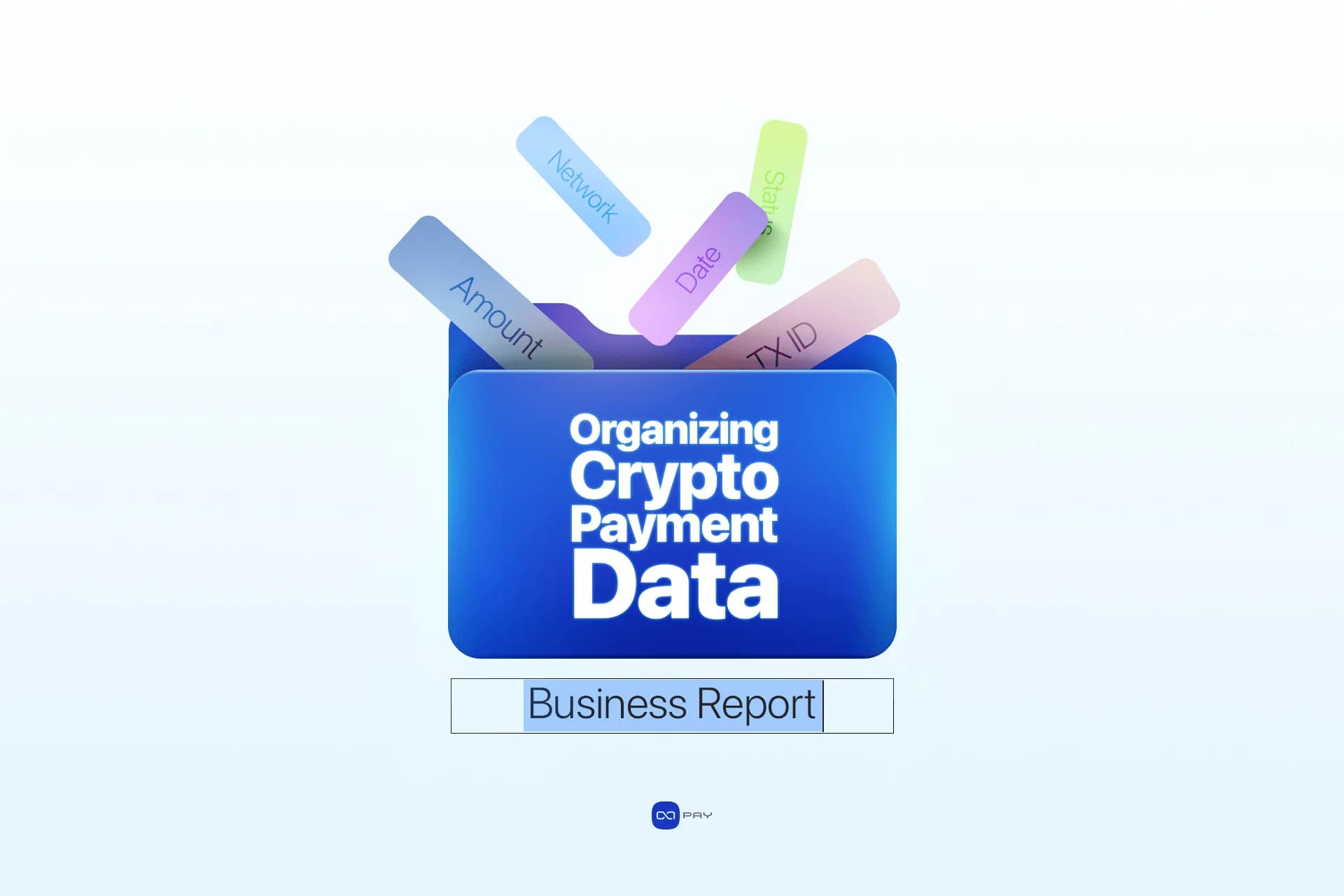 Crypto Payment Data Management for Business article image