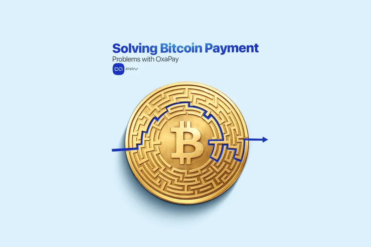 How to Solve Common Bitcoin Payment Problems with OxaPay article image