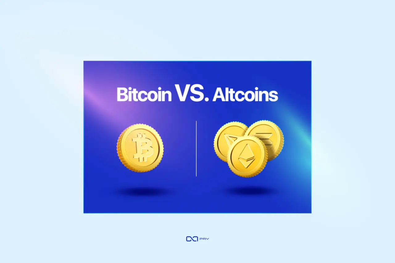 Bitcoin vs. Altcoins for Payments: Which to Accept?