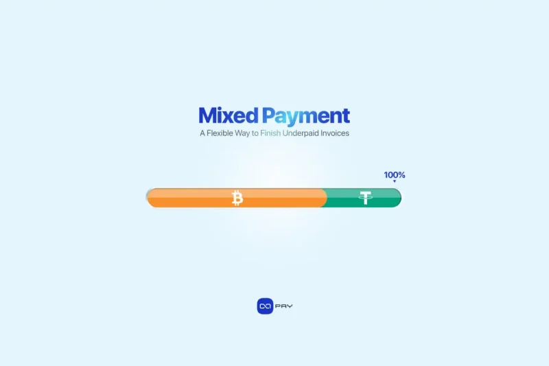 Mixed Payment – A Flexible Way to Finish Underpaid Invoices