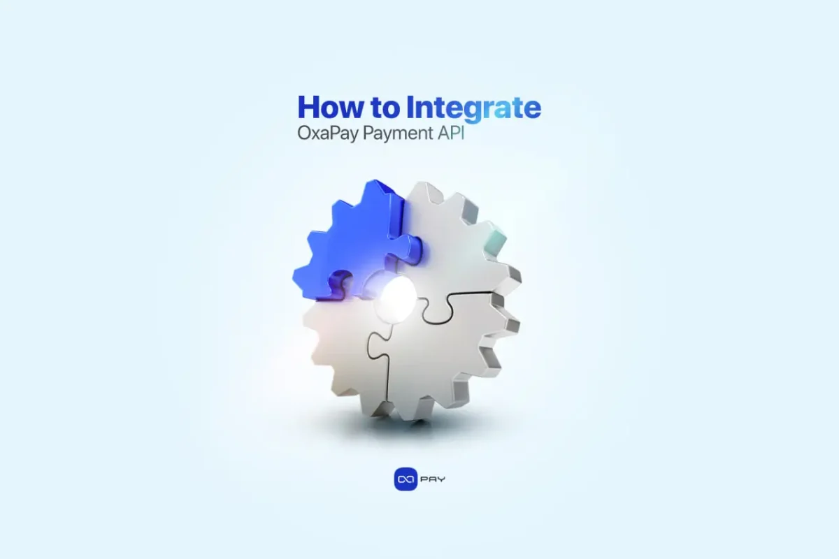 How to Integrate OxaPay Payment API Gear mechanism illustration representing API integration with OxaPay