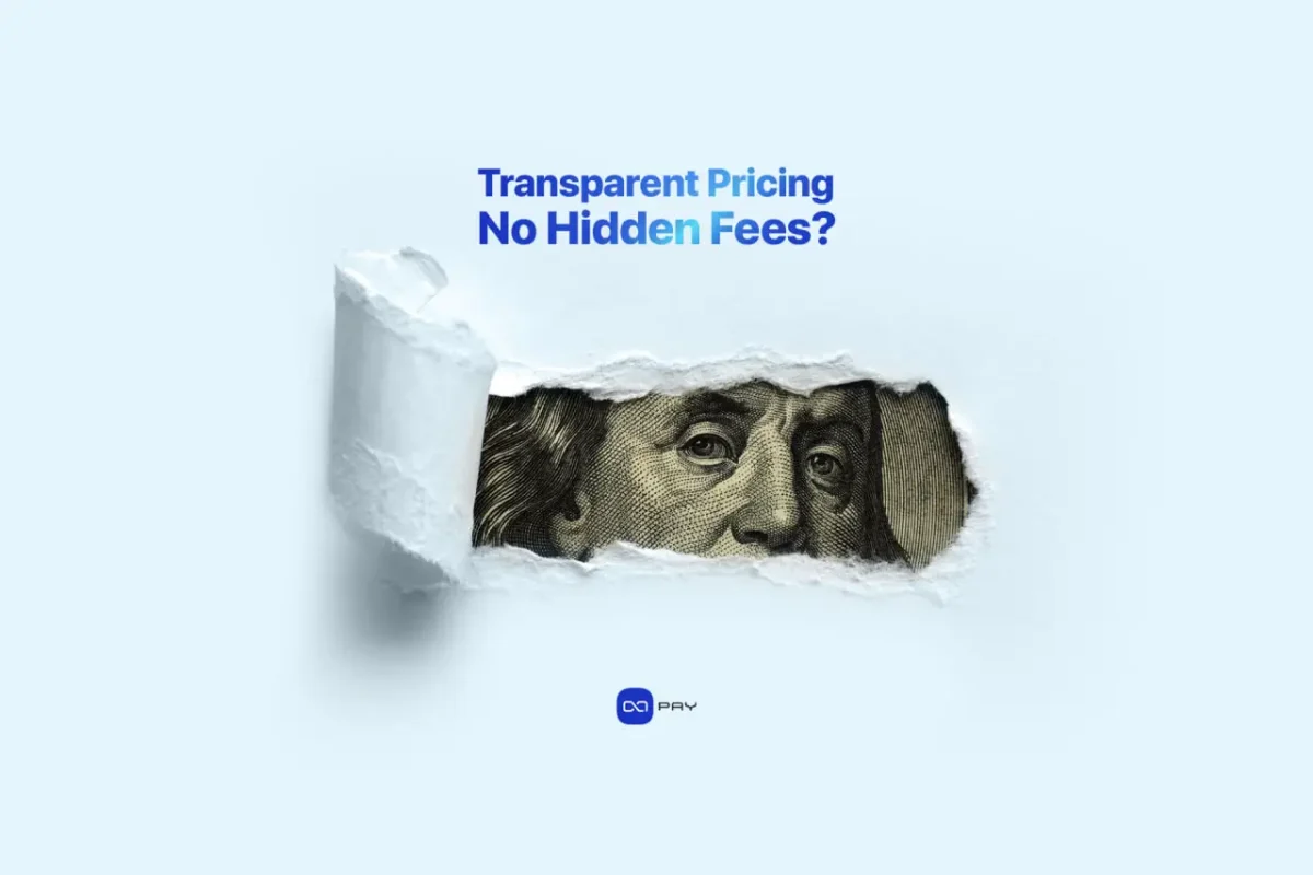 Transparent-Pricing-and-Fees Transparent Pricing in Crypto Payment Gateways: Avoiding Hidden Fees