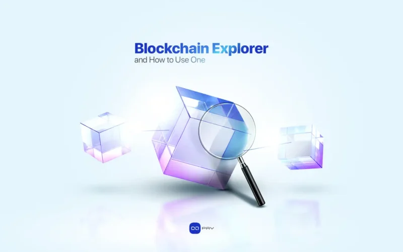 What Is a Blockchain Explorer and How to Use One