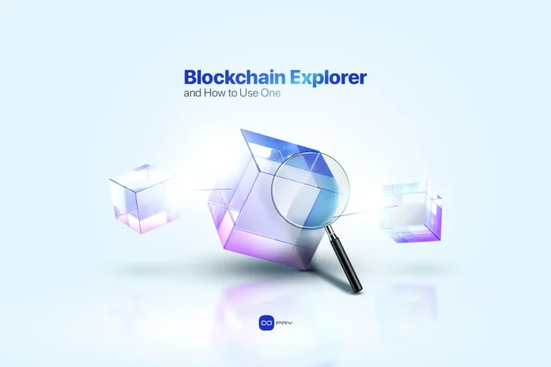 What Is a Blockchain Explorer and How to Use One