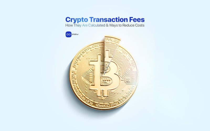 Bitcoin coin illustration with a sliced section, representing crypto transaction fees