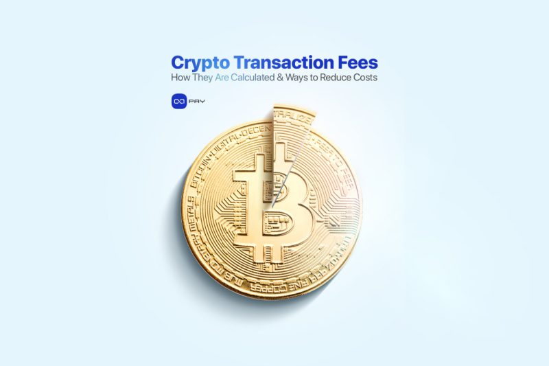 Bitcoin coin illustration with a sliced section, representing crypto transaction fees