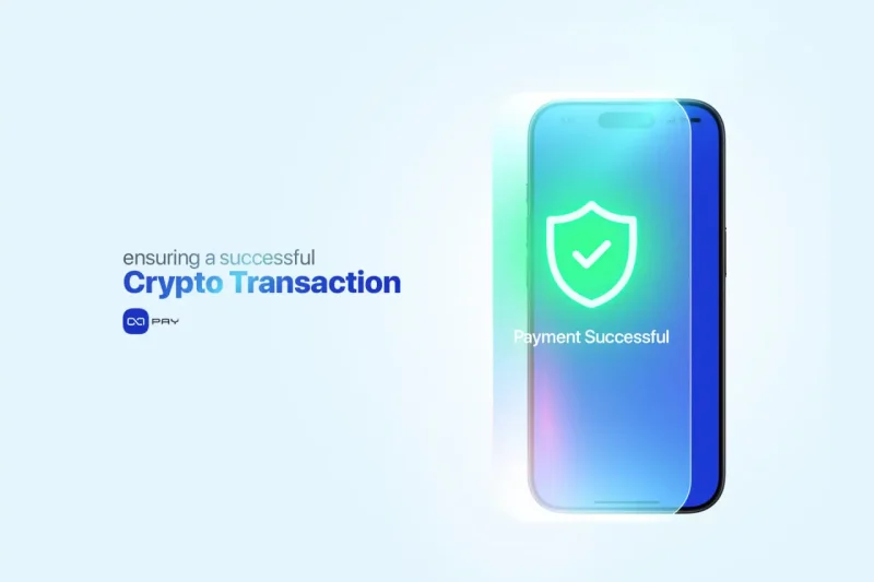 Mobile screen showing a payment successful message with shield icon