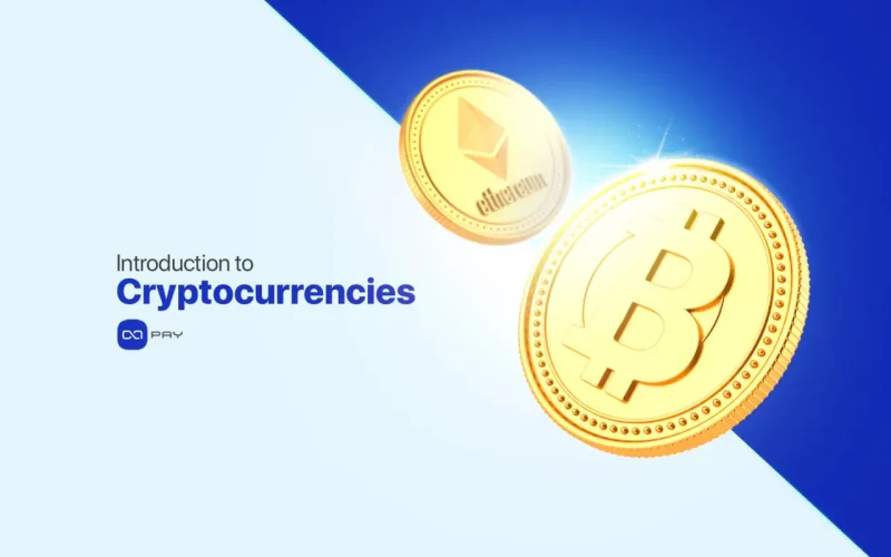 Bitcoin and Ethereum coins representing cryptocurrency basics