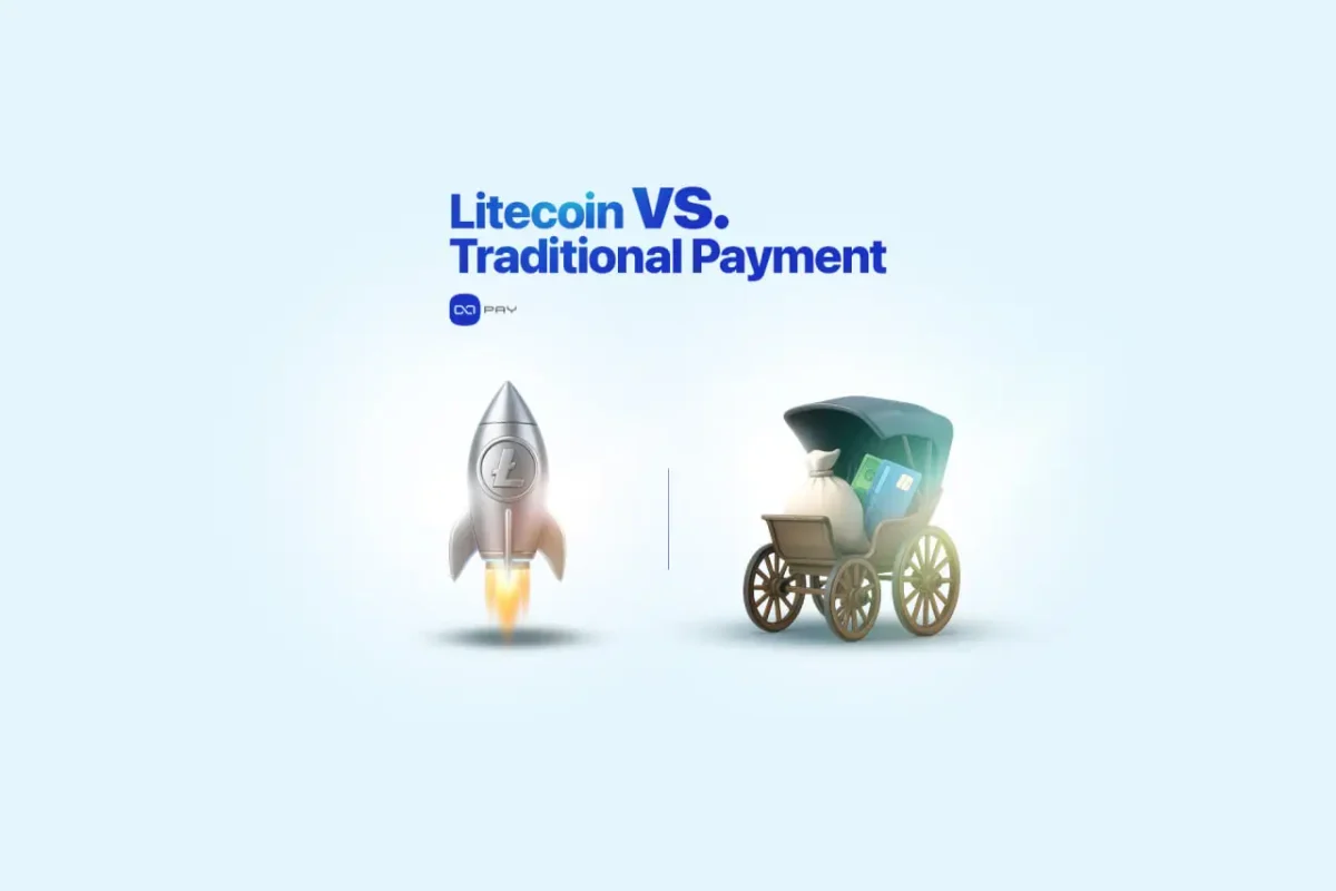 Litecoin rocket compared to traditional payment carriage