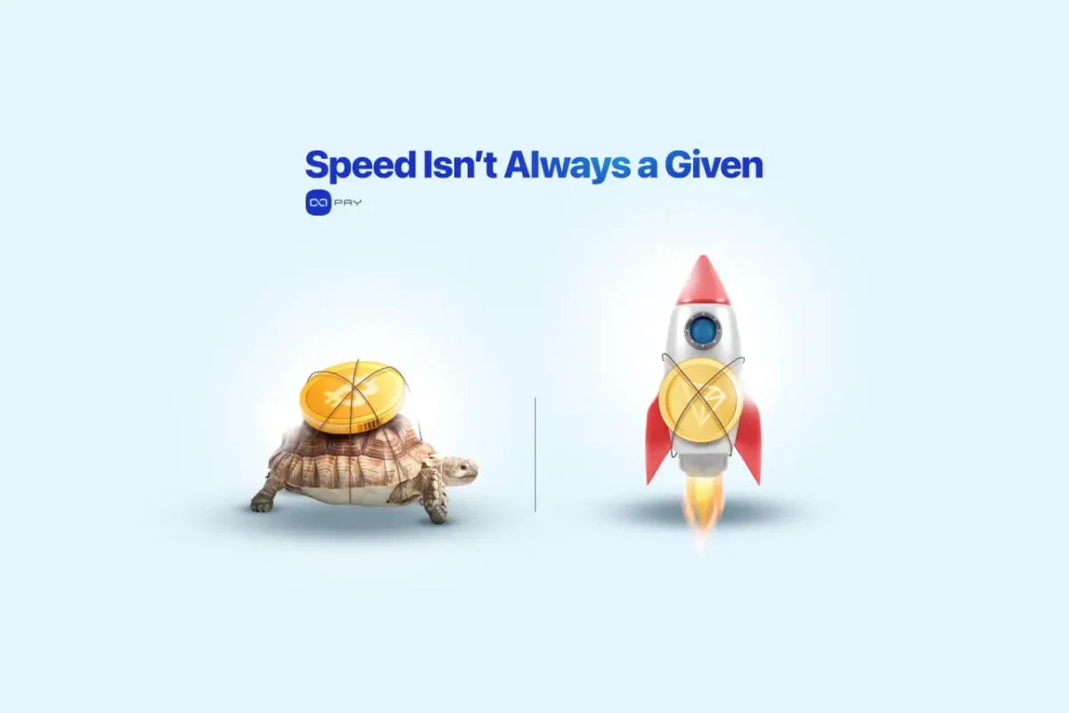instant payment confirmation illustrated by turtle and rocket with crypto coins