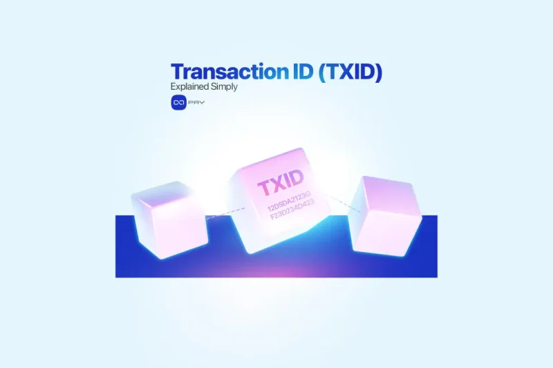 Illustration of Crypto Transaction ID on blockchain cubes