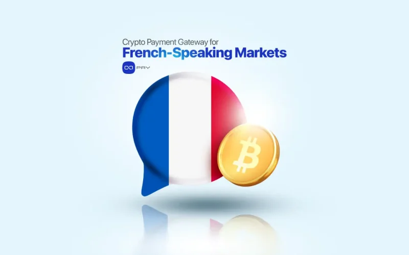 OxaPay Crypto Payment Gateway for French-speaking markets featuring the French flag and a Bitcoin coin symbolizing digital payments.