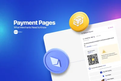 OxaPay Payment Page interface with crypto payment options
