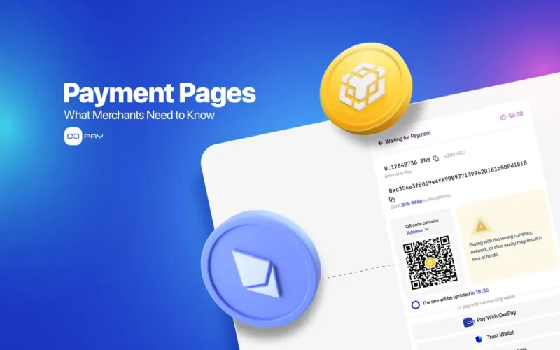 OxaPay Payment Page interface with crypto payment options