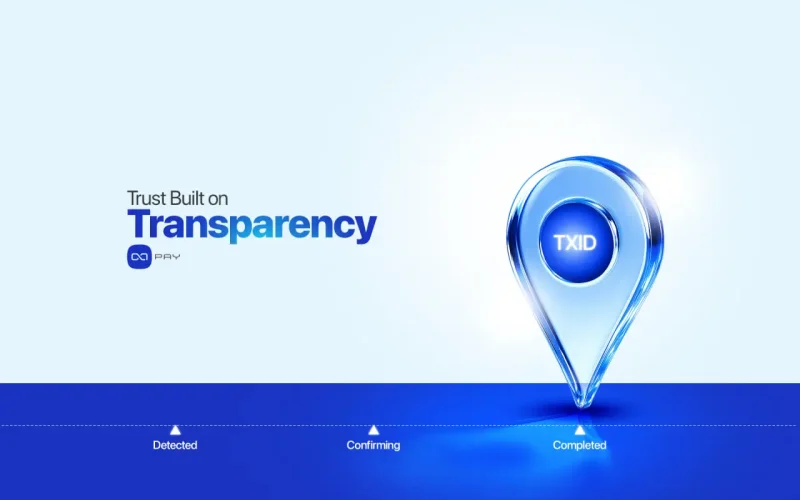 TXID tracking showing detected, confirming, and completed blockchain payment stages