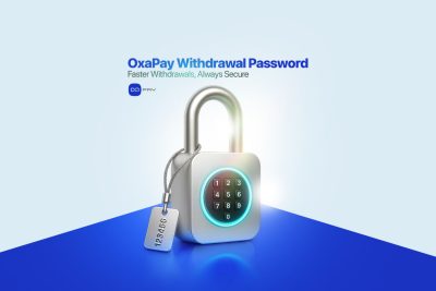 数字挂锁代表 OxaPay 提现密码功能,可实现更快更安全的加密货币提现。