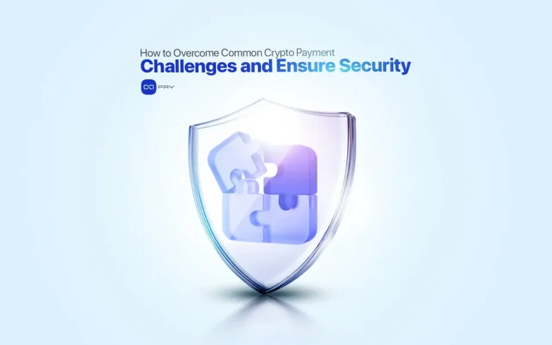 تصویری که چالش‌های پرداخت ارز دیجیتال و حفاظت امنیتی در پرداخت‌های دیجیتال را نشان می‌دهد.