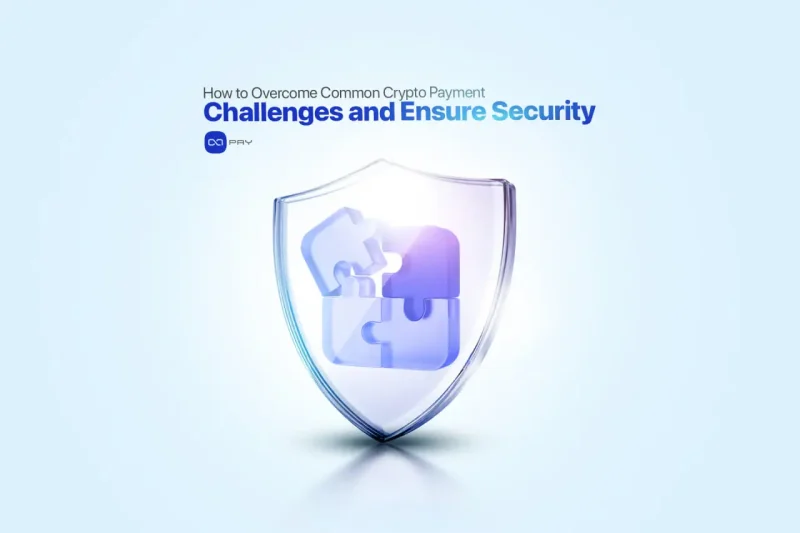 Illustration showing crypto payment challenges and security protection in digital payments