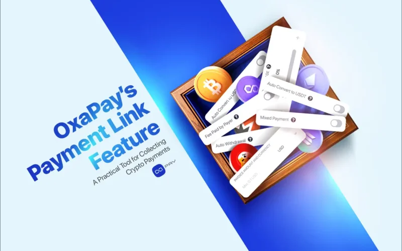 OxaPay payment link interface showing crypto payment options and controls
