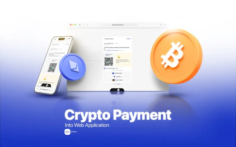 crypto payment into web application using invoice and wallet