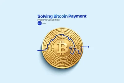 Solving Bitcoin payment problems with structured workflows using OxaPay Bitcoin gateway