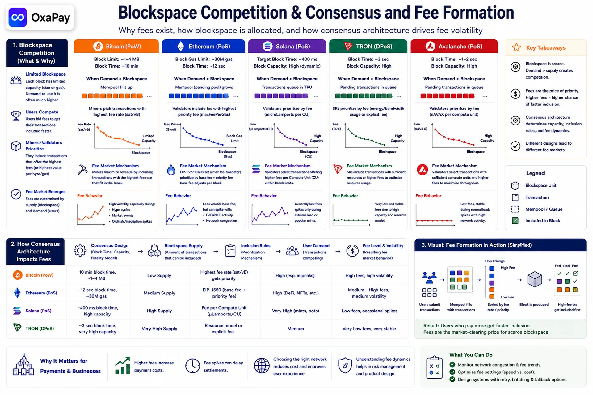 Blockchain blockspace competition and fee formation visualization across consensus architectures