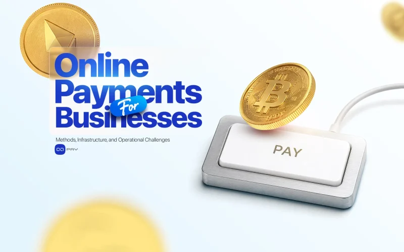 Online payments for businesses with digital payment infrastructure and cryptocurrency payment elements