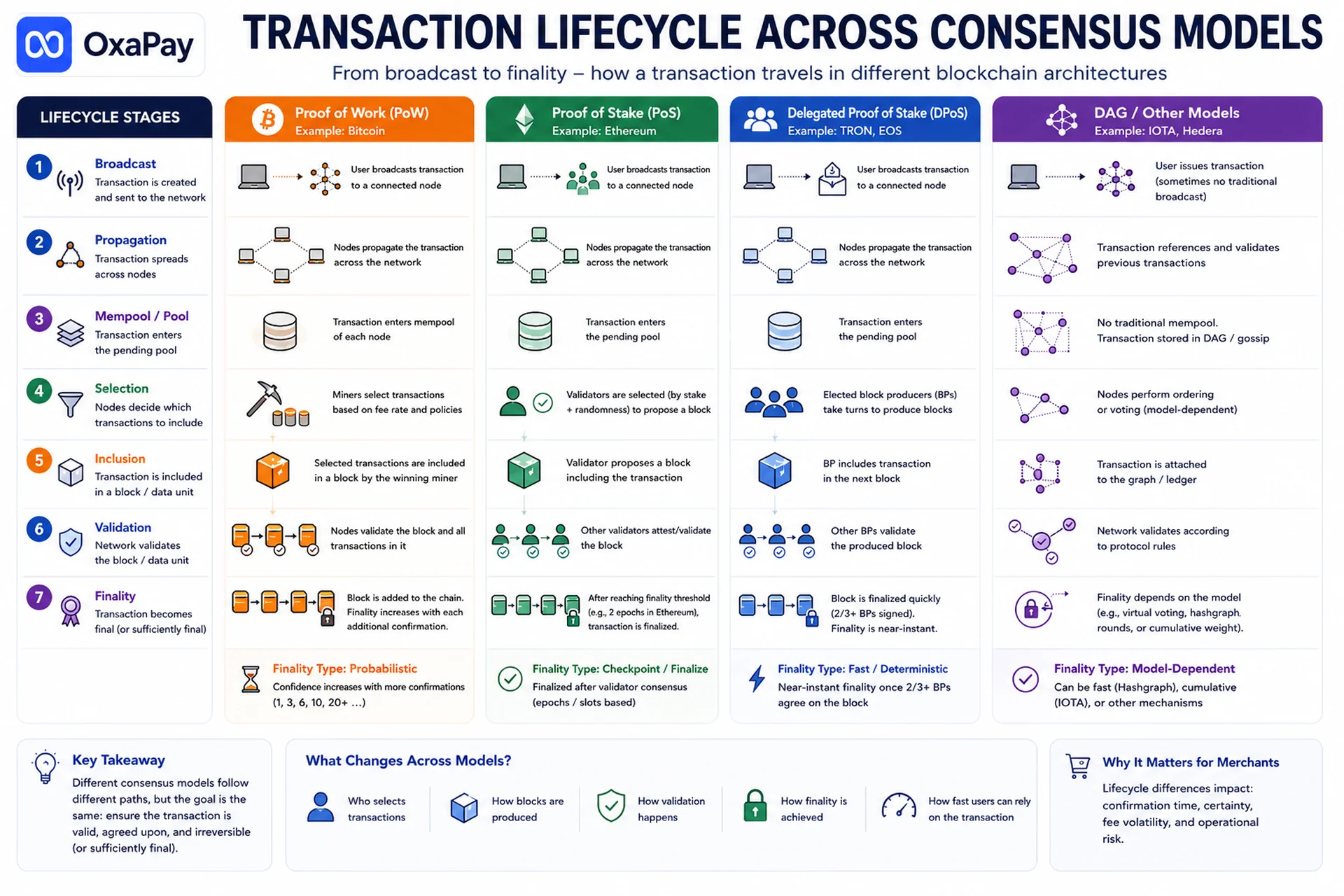 Blockchain transaction lifecycle across PoW, PoS, and DPoS consensus systems