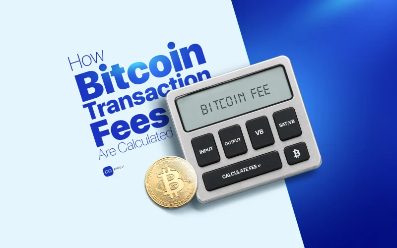 Bitcoin transaction fee calculator showing inputs, outputs, and fee rate in sat/vB