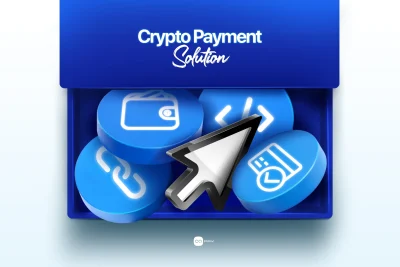 Crypto payment solution options including wallets, payment links, APIs, and invoices