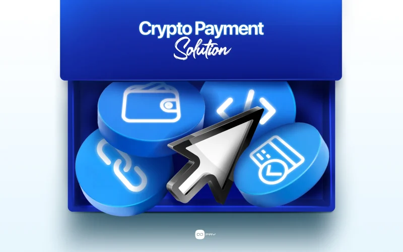 Crypto payment solution options including wallets, payment links, APIs, and invoices